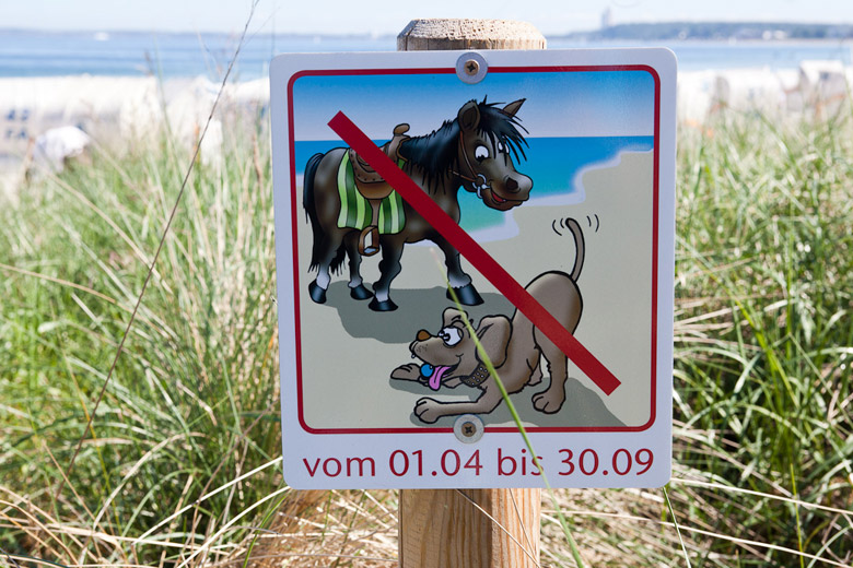 Hunde und Pferde